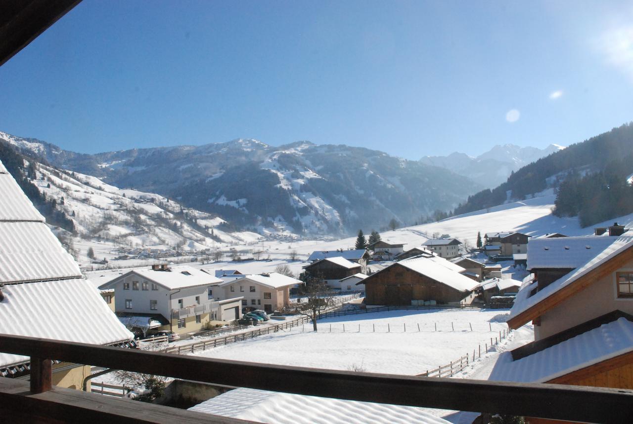 Strampflgut Apartment Dorfgastein Bilik gambar